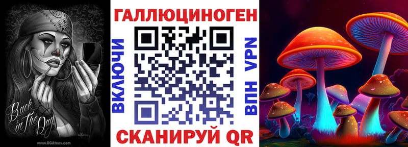 Галлюциногенные грибы MAGIC MUSHROOMS  Купить закладки  Юрга 